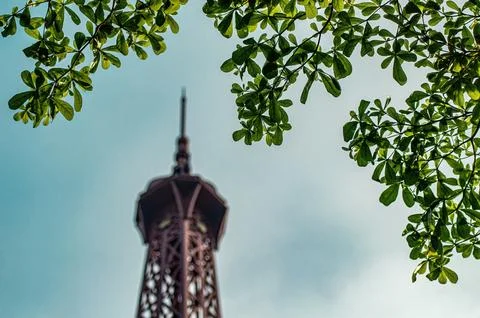 View of the eiffel tower through green tree branches against a blue sky. Th.. 写真素材