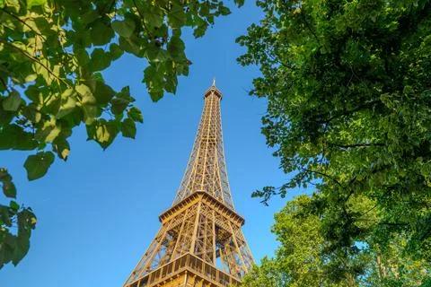 View of the Eiffel Tower through lush green tree branches. Stock Photos