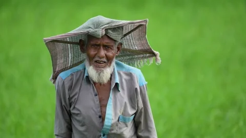 View of an elderly farmer in a green field, Bangladesh. Video stock 334960573