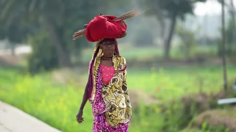 View of an elderly woman carrying a bundle on her head in India. Video stock 335485805