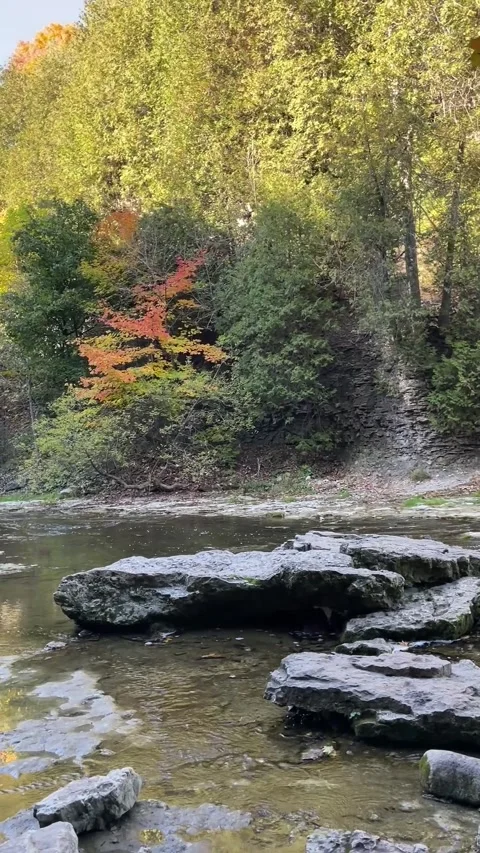 View of Elora Gorge Vídeo Stock 326247785