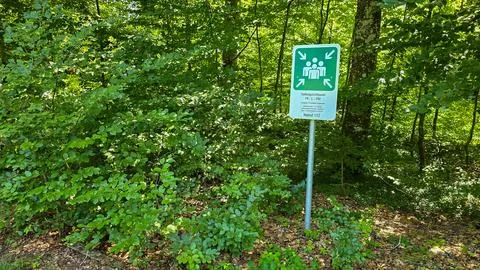 View of emergency assembly point in Friedwald, place in forest for Natural Stock Photos