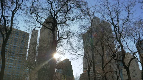 View of the Empire State Building in New York through the bare branches of Stock Footage 222453391