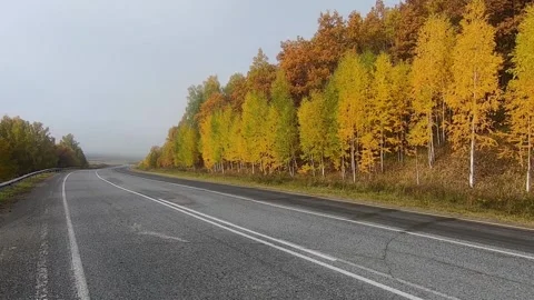 View of the empty asphalt highway going through a beautiful autumn forest Stock Footage 207518742