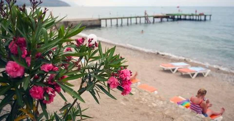 View of the empty Bodrum beach, Aegean sea, flowers, marina, sailboats, yacht Stock Photos