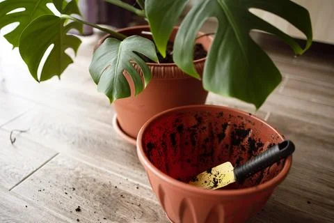 View of an empty flower pot and a garden yellow spatula on the background Stock Photos