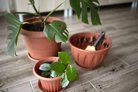 View of an empty flower pot and a garden yellow spatula against the background Stock Photos