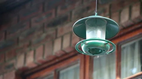 View of an empty green bird feeder Stock Footage 38770349