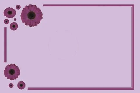 A view of an empty pink postcard with pink frames and daisies - great for pos Illustrazione stock