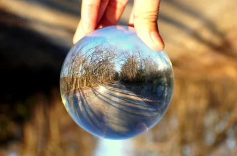 The view of empty road with dead trees captured through a crystal lens ball n Stock Photos