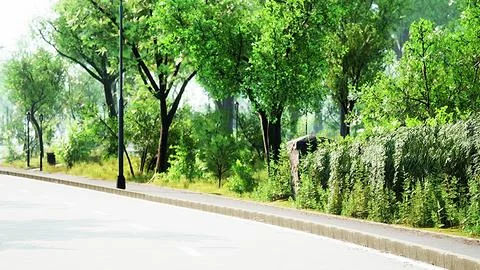 View of empty road with lamp post and sunlight Illustrazione stock