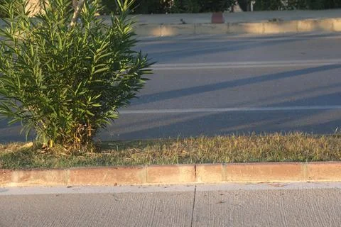 View of the empty road scene, highway in the city, trees and bushes, curb s.. Stock Photos