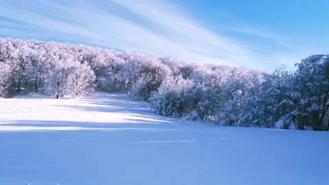 View of empty road with snow covered through a forest. Mountain winter landscape 스톡 동영상 167724623