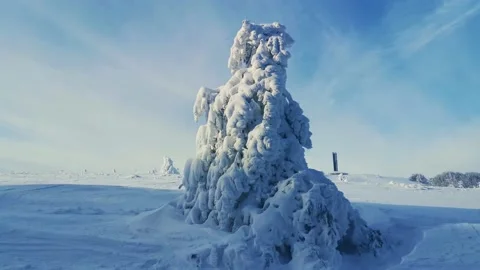 View of empty road with snow covered through a forest. Mountain winter landscape Vídeo Stock 167724762