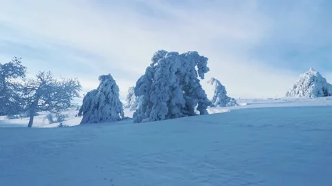 View of empty road with snow covered through a forest. Mountain winter landscape Vidéo 167724776