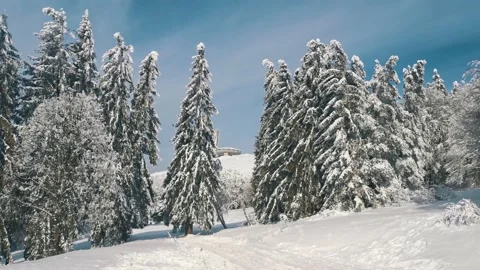 View of empty road with snow covered through a forest. Mountain winter landscape Stock Footage 167724834