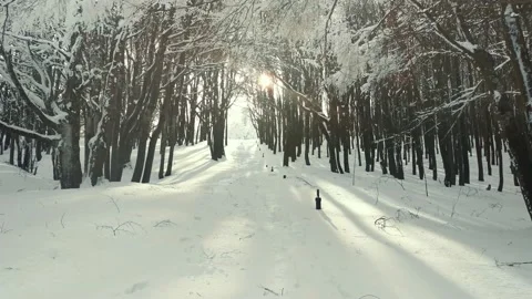 View of empty road with snow covered through a forest. Mountain winter landscape Vídeo Stock 167724853