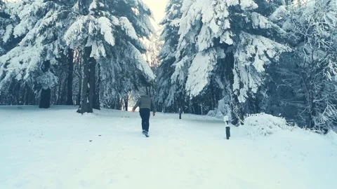 View of empty road with snow covered through a forest. Mountain winter landscape Vídeo Stock 167724882