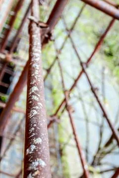 View on empty scaffold at construction site Stock Photos