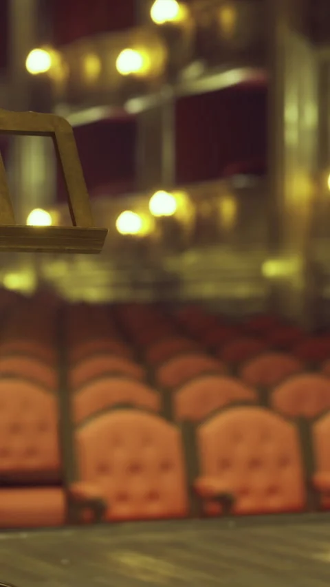 View of empty theater seats before a performance at night Stock Footage 331756365