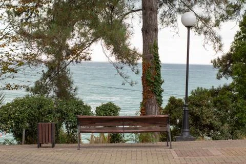 View at empty wooden bench Stock Photos