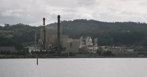 View of ENCE paper mill factory on Ria de Pontevedra, Galicia Spain Video stock 148218751