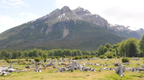 View from "End of the World" train. Ushuaia, Argentina Stock Footage 33624287