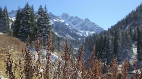 The view of endless steppes fields and mountain herbs in the mountains of solar Stock Footage 67972199