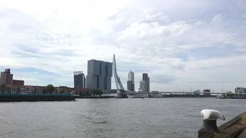 View of the Erasmus Bridge and the De Rotterdam building. Video stock 284720774