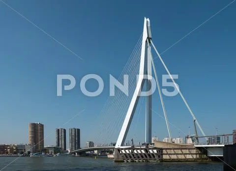 View on the Erasmus Bridge, Rotterdam, Netherlands Stock Photos