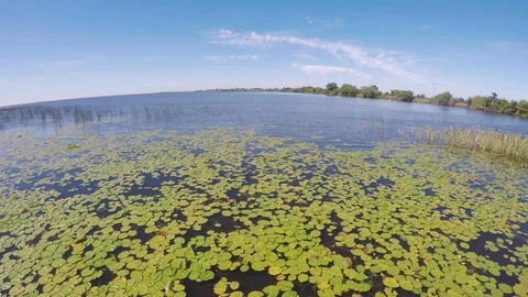 View of Esteros de Ibera Video stock 98947187