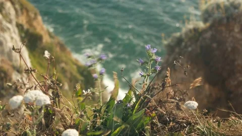 View of Etretat Stock Footage 173137470