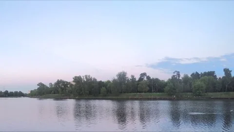 View of the evening forest from river bank timelapse 스톡 동영상 77284344