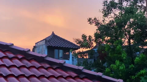 The view of the evening orange sky after rain Stock Footage 255963725