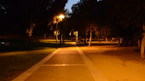 View of the evening park with people Stock-Footage 140819008