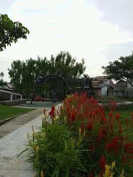 The view in the evening. Stock-Fotos