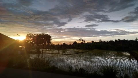 The view in the evening 库存照片