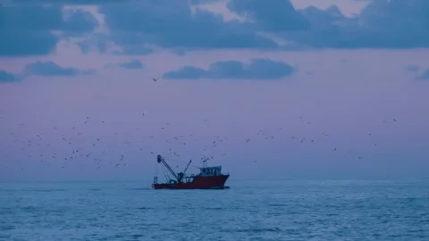 View of the evening sea before sunset Stock Footage 282071591