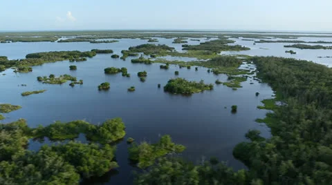 View of Everglades 動画素材 26150568