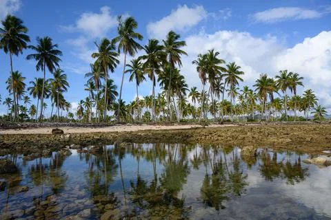 View exotic bay reflection on ocean salt water Stock Photos