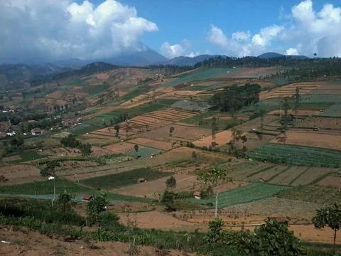 The view of the expanse of beautiful vegetable plantations in the Valley Stock Photos