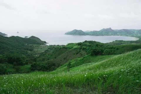 A view of the expanse of green hills and wide there is much white thatch.  Vi Stock Photos