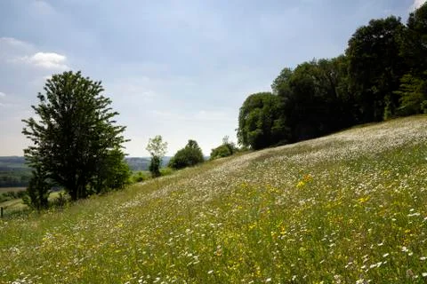 View at the Eyserbos Stock Photos