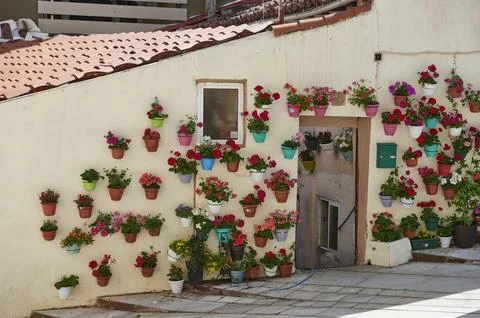 View of the facade with flower pots Stock Photos