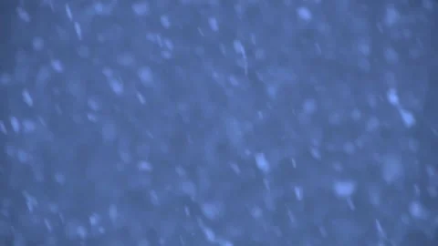 A view of falling snow 動画素材 313331459