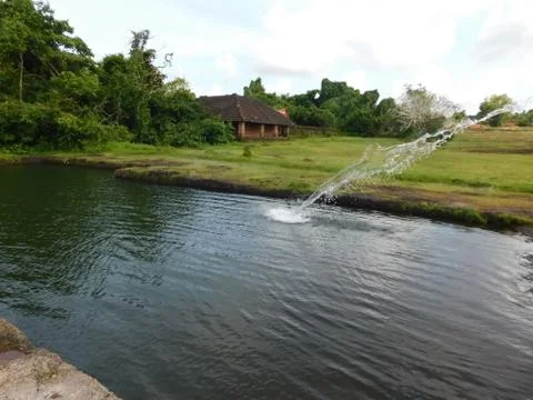 View of falling water to the pond Stock Photos