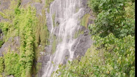 View of falls from Kuranda train as it climbs Atherton Tablelands Stock Footage 323441364