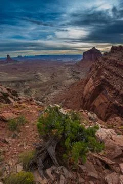 View from the False Kiva Trail Stock Photos