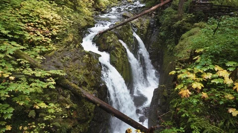 A view of the famous Sol Duc Falls in Olympic National Park. Stock Footage 118796428