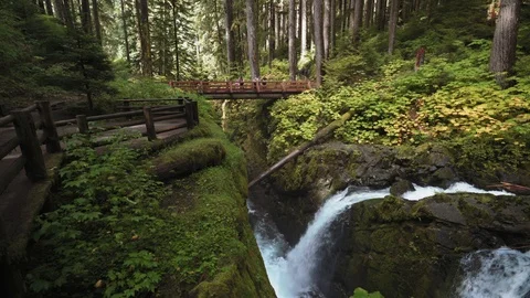 A view of the famous Sol Duc Falls in Olympic National Park. Stock Footage 118796482